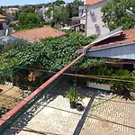 Levak - Apt. 1 *