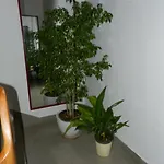 Apartment Levak - Apt. 1 *