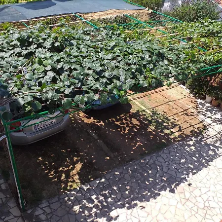 Levak - Apt. 1 Daire