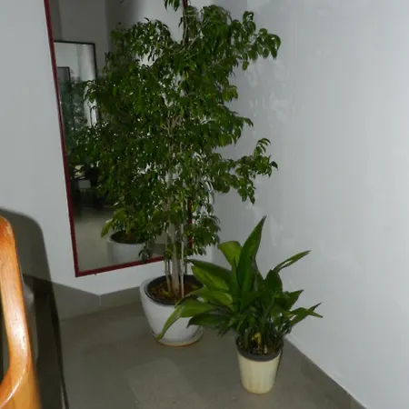 Daire Levak - Apt. 1 *