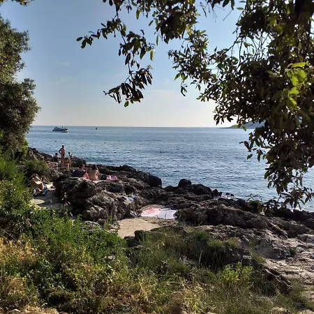 Daire Levak - Apt. 1