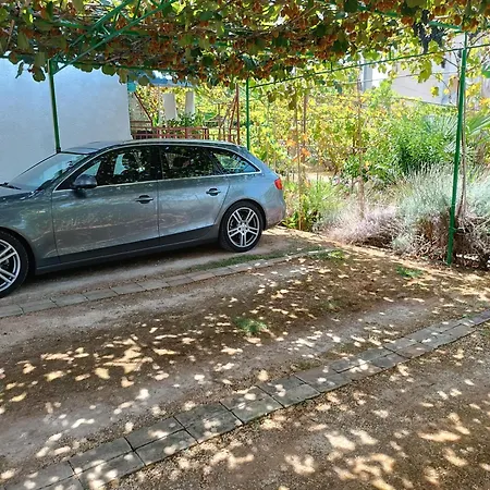 Levak - Apt. 1 Pjescana Uvala