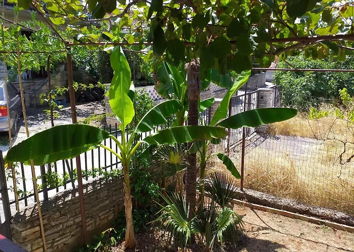 Levak - Apt. 1 * Pjescana Uvala