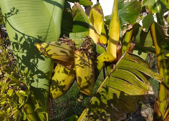 Appartement Levak - Apt. 1