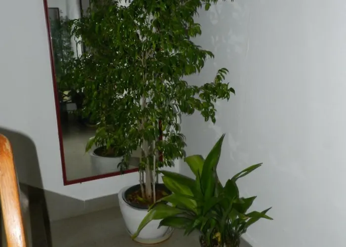 Appartement Levak - Apt. 1 *